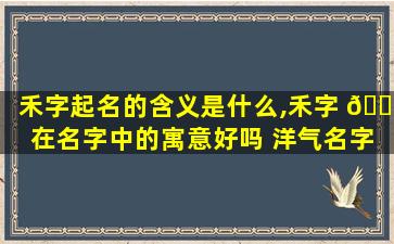 禾字起名的含义是什么,禾字 🌲 在名字中的寓意好吗 洋气名字有哪些